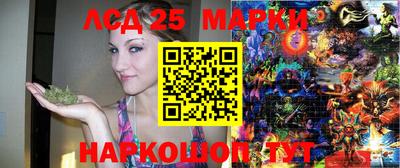 марки nbome Сланцы