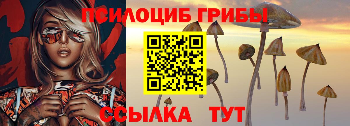 Галлюциногенные грибы Magic Shrooms  Вход с VPN  Псилоцибиновые грибы мицелий  Ставрополь 